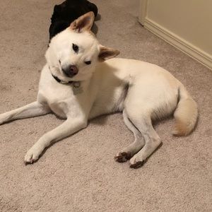 Meet your Posher, Karla